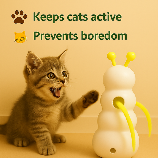 Pounce & Spin Deluxe