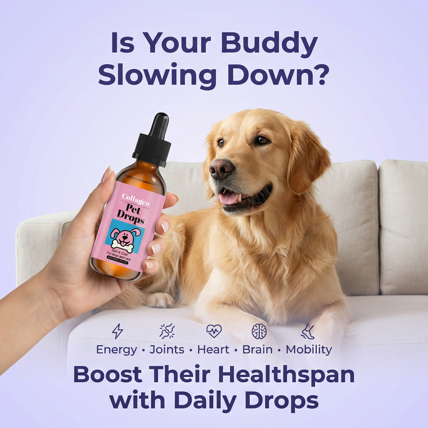 PawGlow™ Collagen Drops