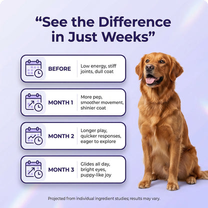 PawGlow™ Collagen Drops