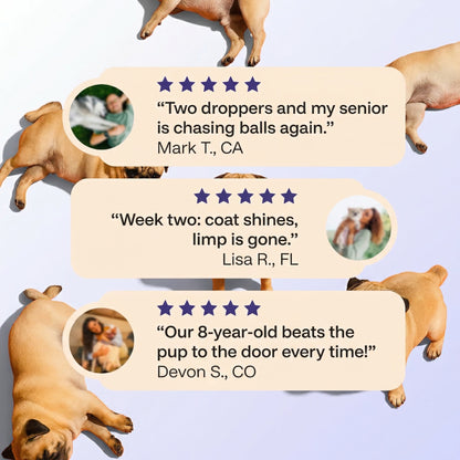 PawGlow™ Collagen Drops